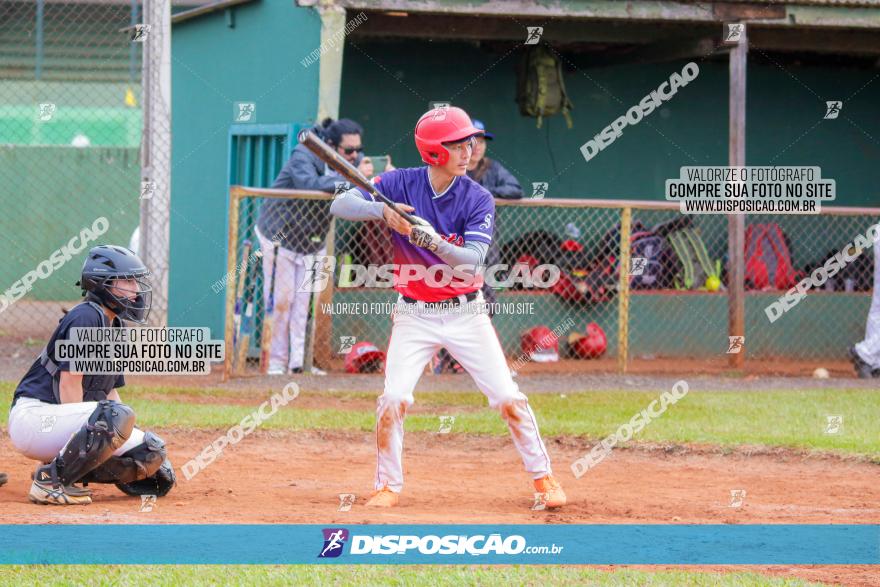 XXXII Brasileirão de Softbol