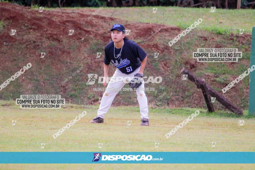 XXXII Brasileirão de Softbol