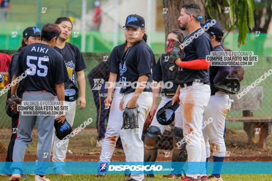 XXXII Brasileirão de Softbol