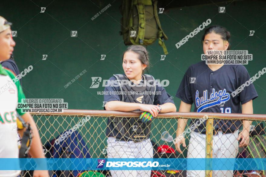 XXXII Brasileirão de Softbol