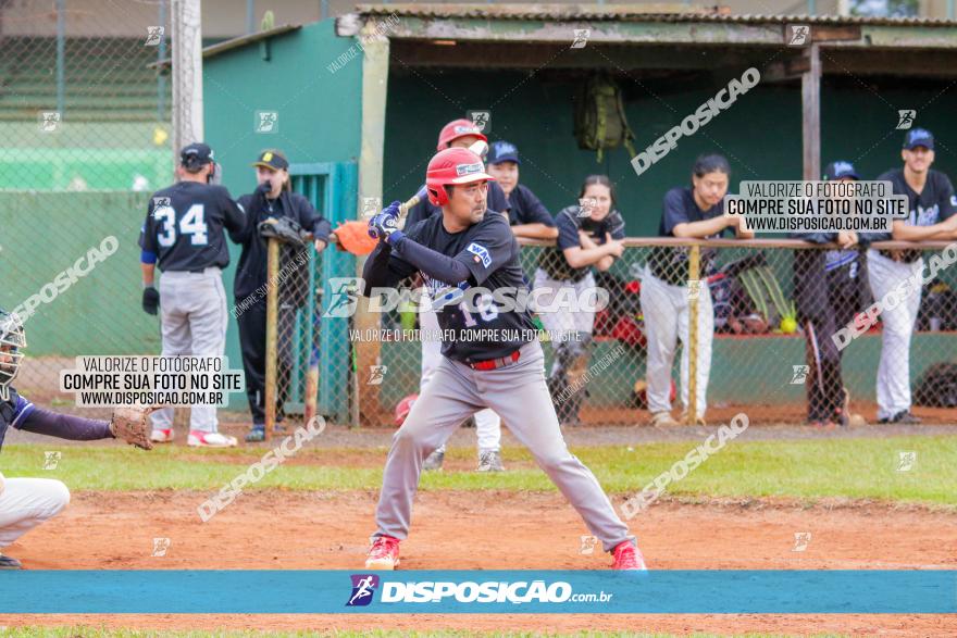 XXXII Brasileirão de Softbol