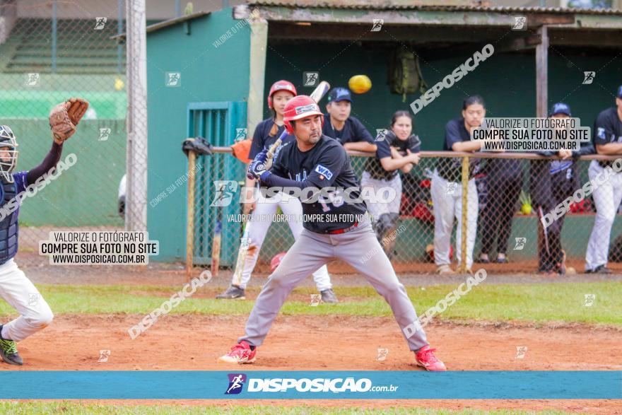 XXXII Brasileirão de Softbol