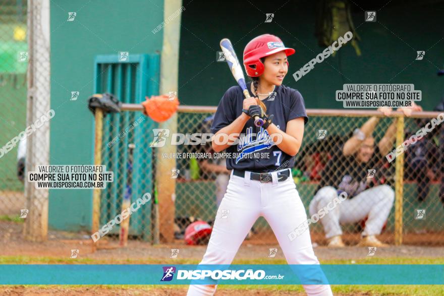 XXXII Brasileirão de Softbol