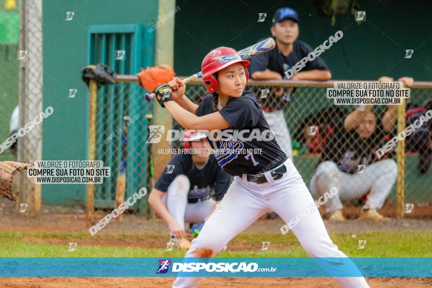 XXXII Brasileirão de Softbol