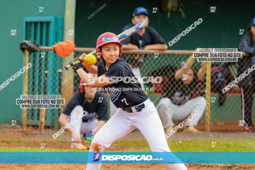 XXXII Brasileirão de Softbol