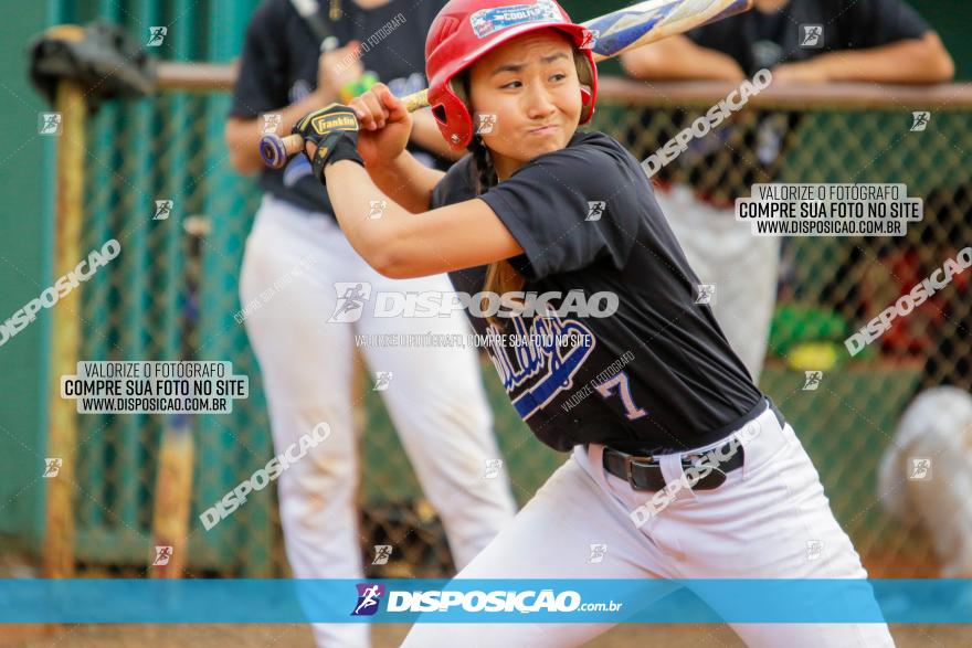 XXXII Brasileirão de Softbol