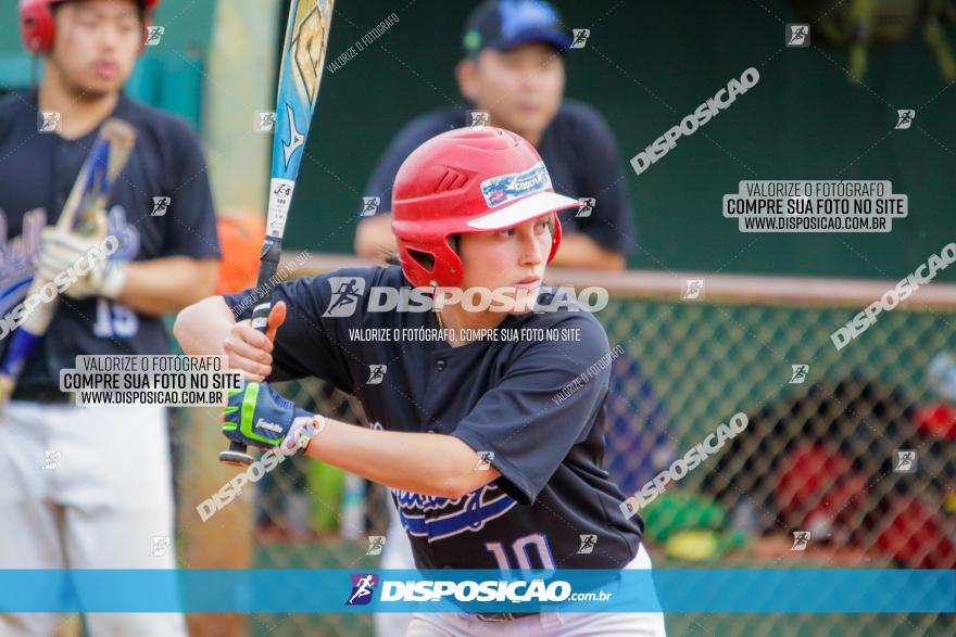 XXXII Brasileirão de Softbol