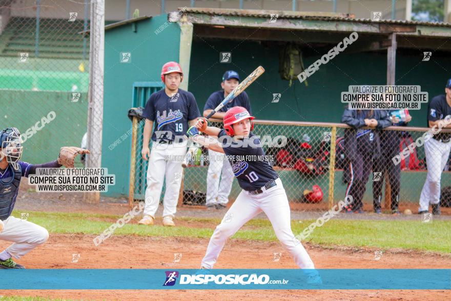 XXXII Brasileirão de Softbol