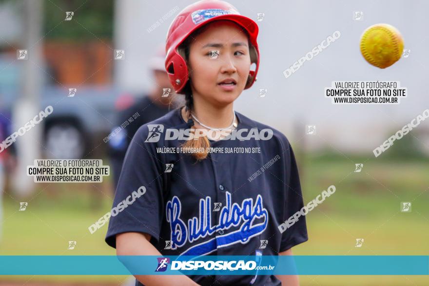 XXXII Brasileirão de Softbol