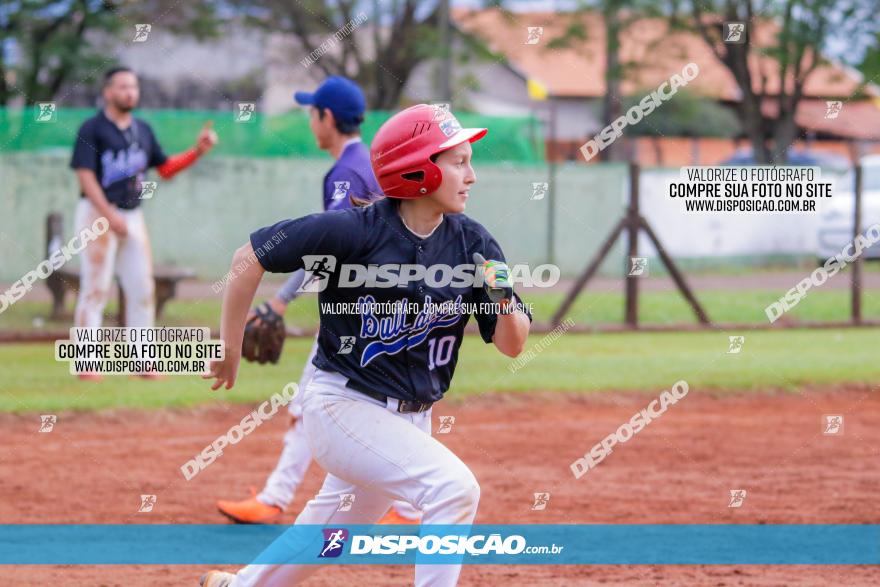 XXXII Brasileirão de Softbol