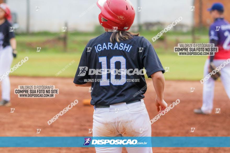 XXXII Brasileirão de Softbol