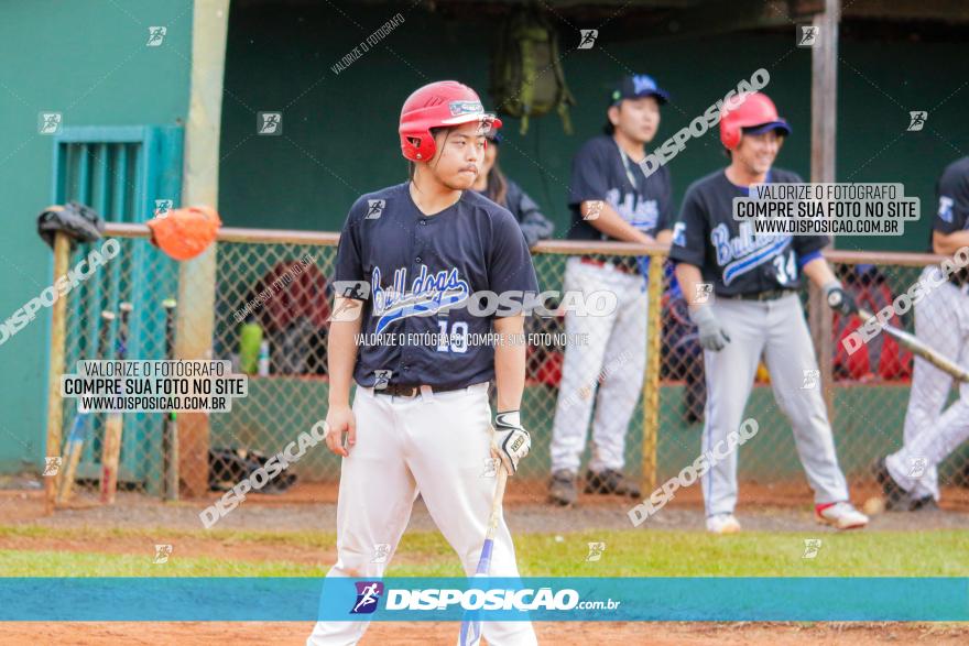 XXXII Brasileirão de Softbol