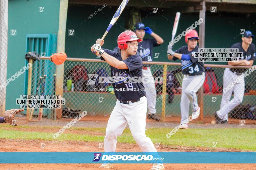 XXXII Brasileirão de Softbol