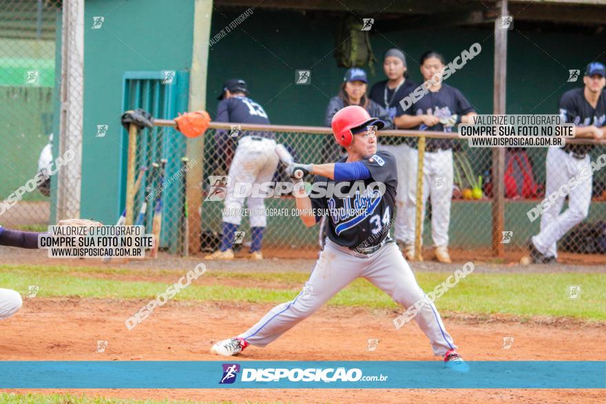 XXXII Brasileirão de Softbol