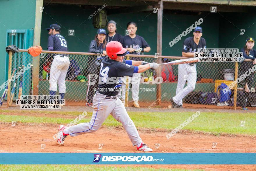 XXXII Brasileirão de Softbol