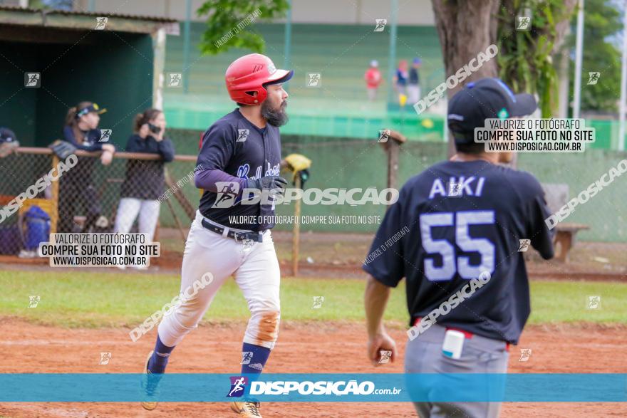 XXXII Brasileirão de Softbol