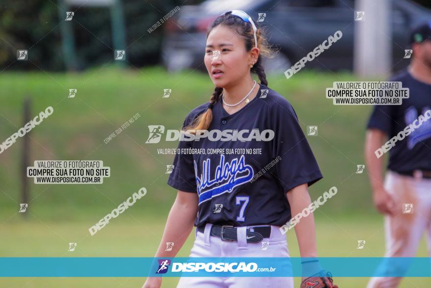 XXXII Brasileirão de Softbol