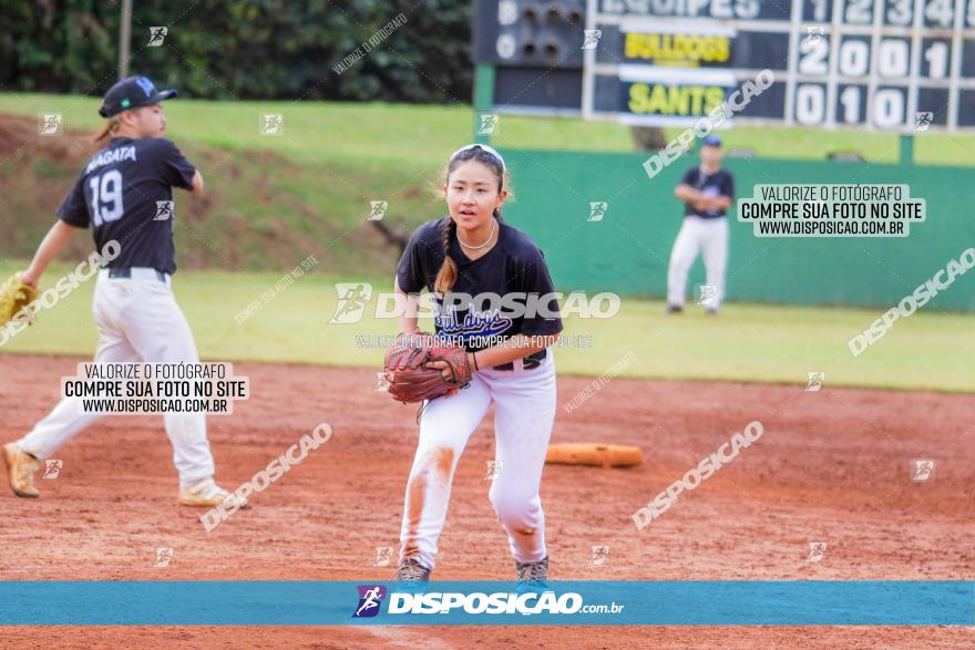 XXXII Brasileirão de Softbol