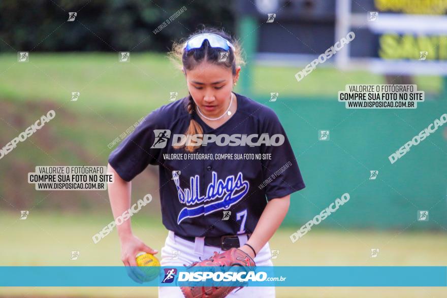 XXXII Brasileirão de Softbol