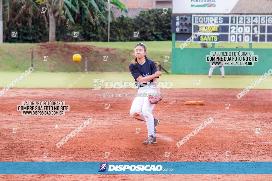 XXXII Brasileirão de Softbol