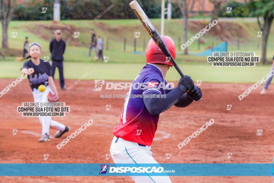 XXXII Brasileirão de Softbol