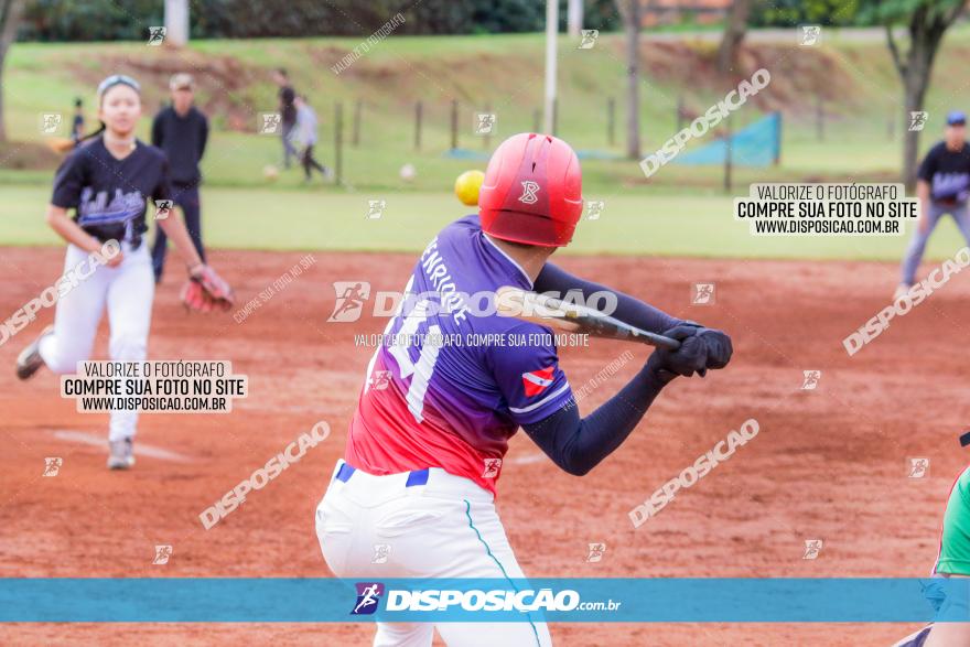 XXXII Brasileirão de Softbol