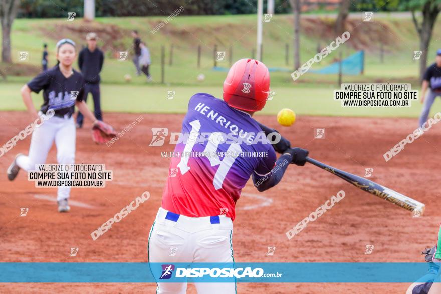 XXXII Brasileirão de Softbol