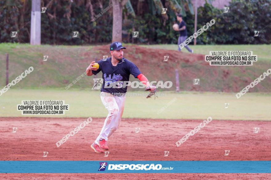 XXXII Brasileirão de Softbol