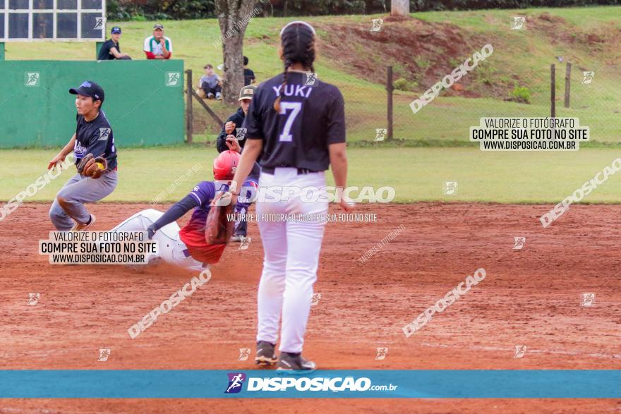 XXXII Brasileirão de Softbol