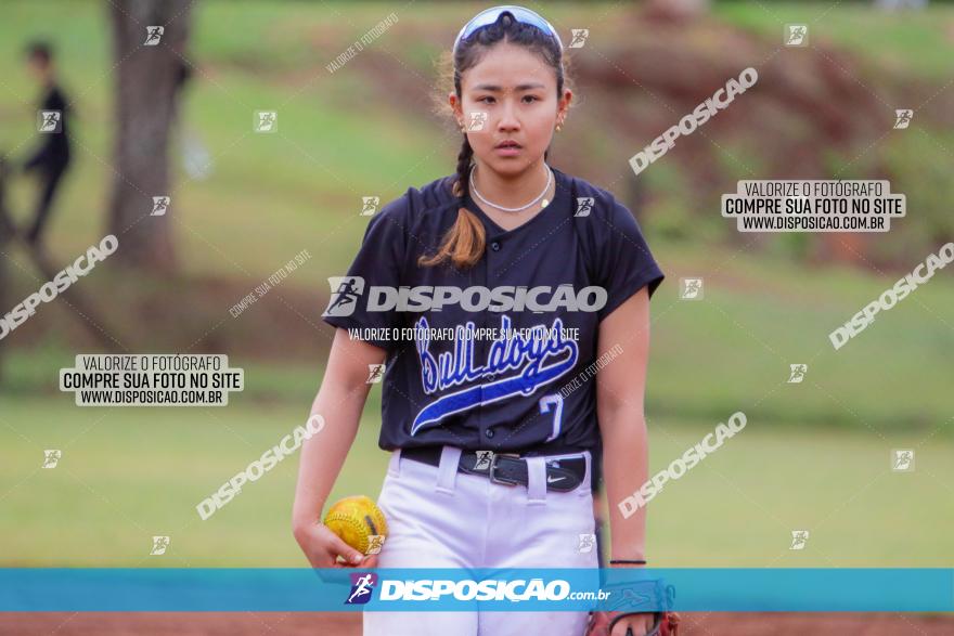 XXXII Brasileirão de Softbol