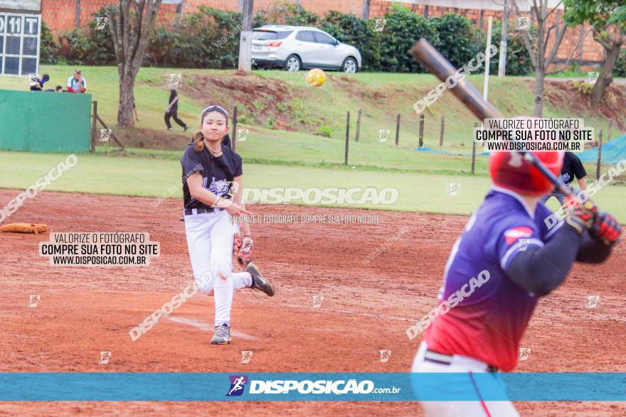 XXXII Brasileirão de Softbol