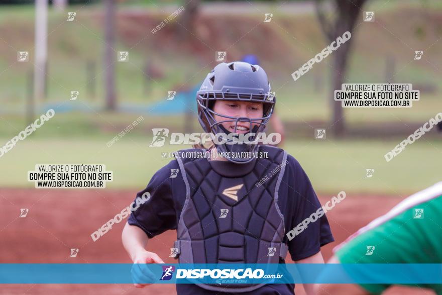 XXXII Brasileirão de Softbol