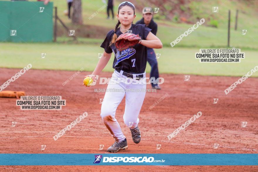 XXXII Brasileirão de Softbol