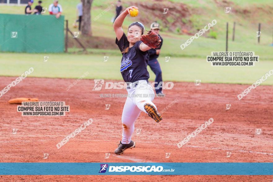 XXXII Brasileirão de Softbol