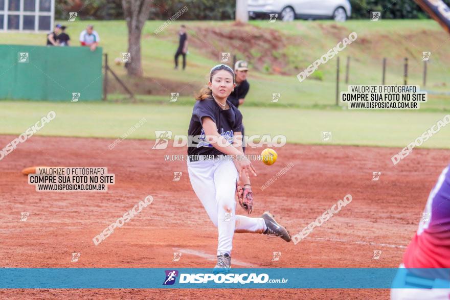 XXXII Brasileirão de Softbol