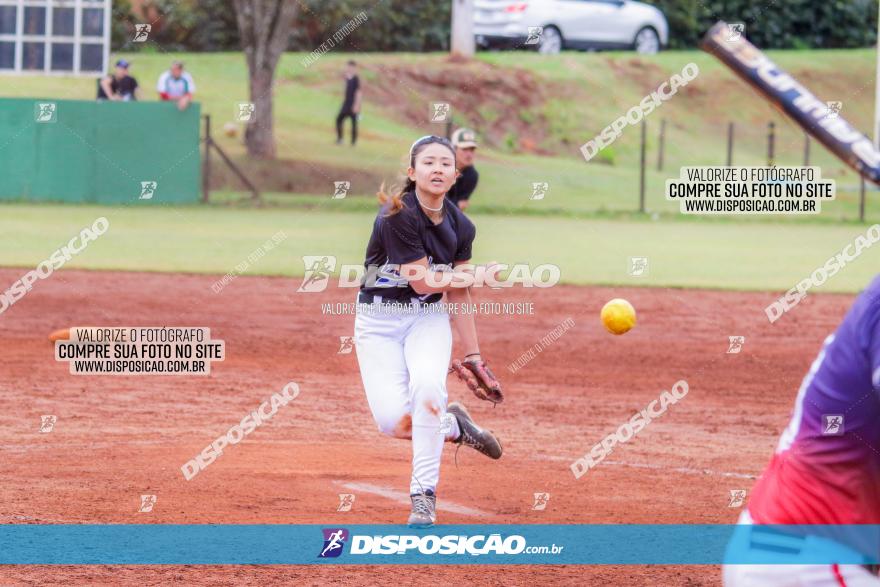 XXXII Brasileirão de Softbol