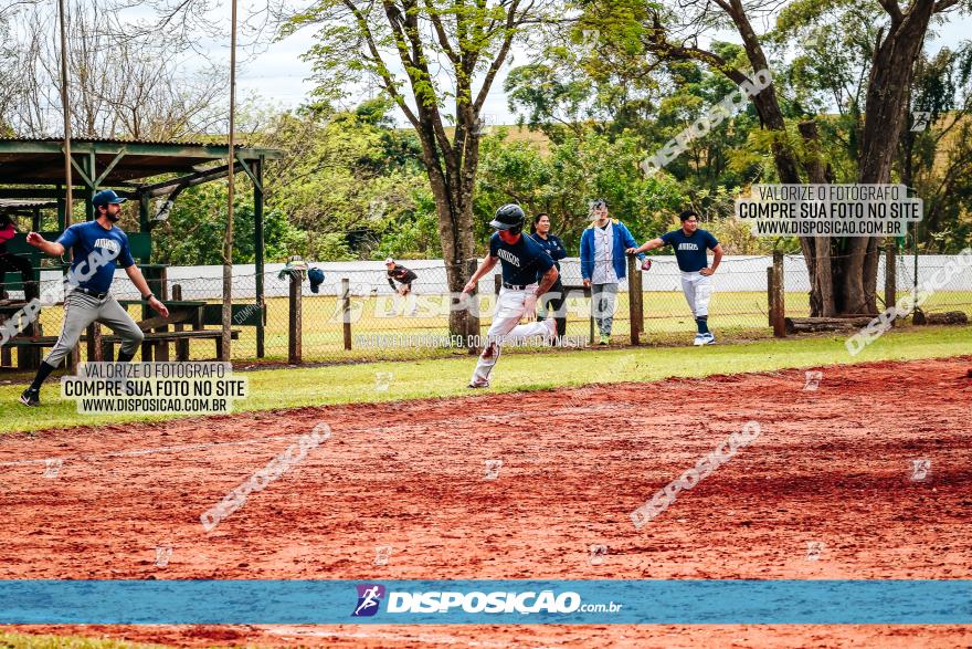 XXXII Brasileirão de Softbol