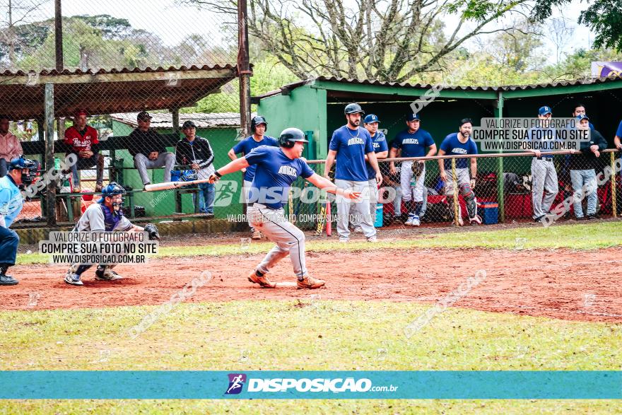 XXXII Brasileirão de Softbol