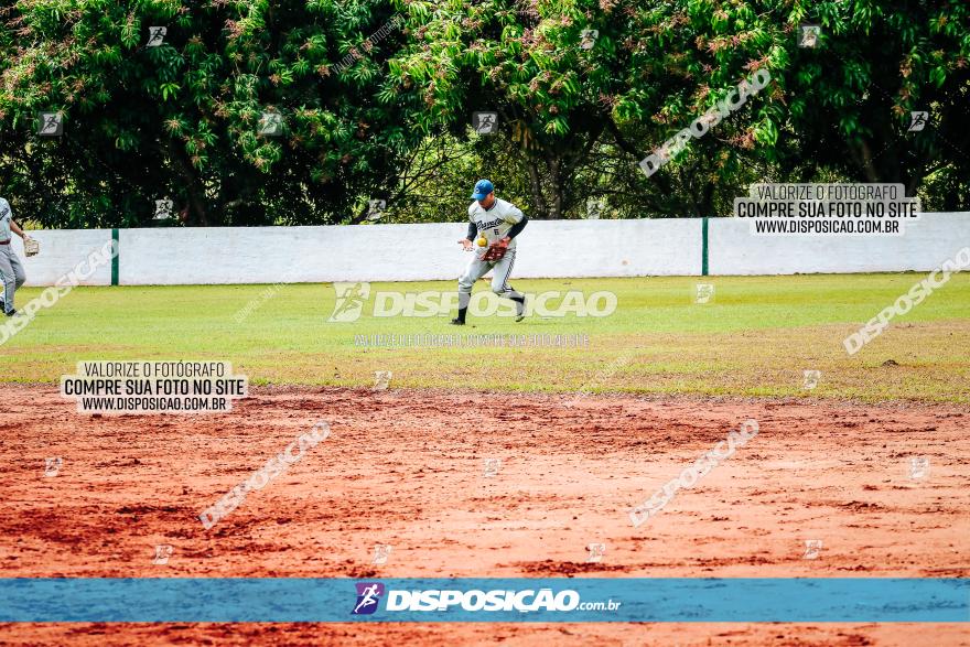 XXXII Brasileirão de Softbol