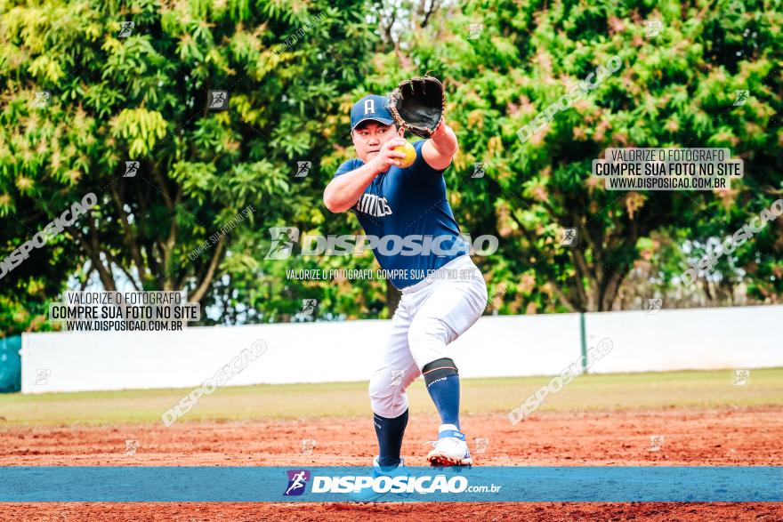 XXXII Brasileirão de Softbol