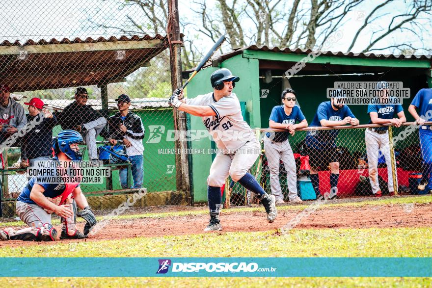 XXXII Brasileirão de Softbol