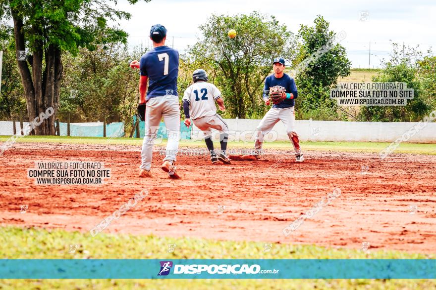 XXXII Brasileirão de Softbol