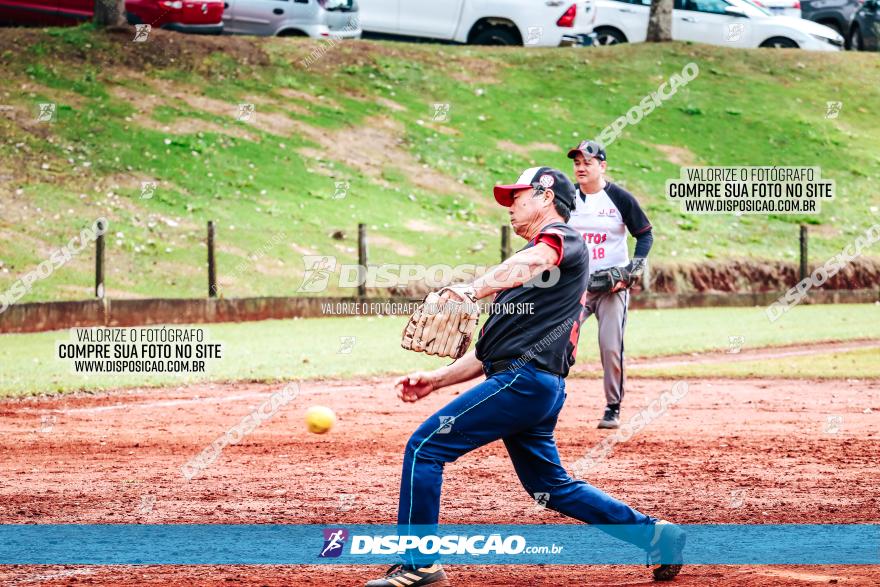 XXXII Brasileirão de Softbol