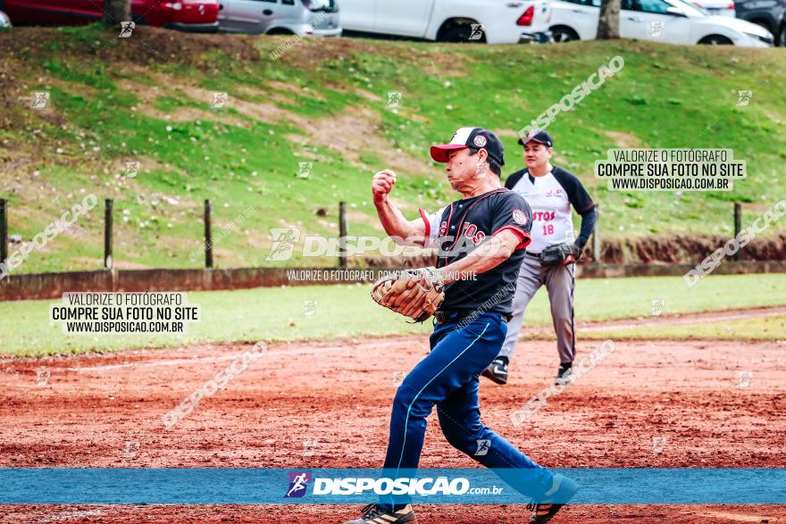 XXXII Brasileirão de Softbol