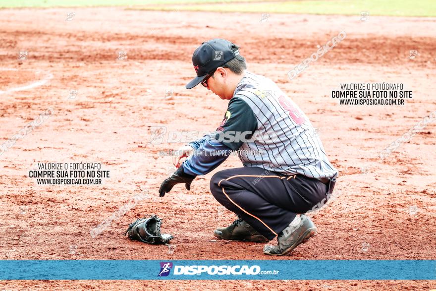 XXXII Brasileirão de Softbol