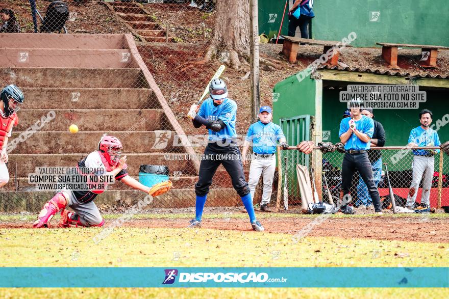 XXXII Brasileirão de Softbol