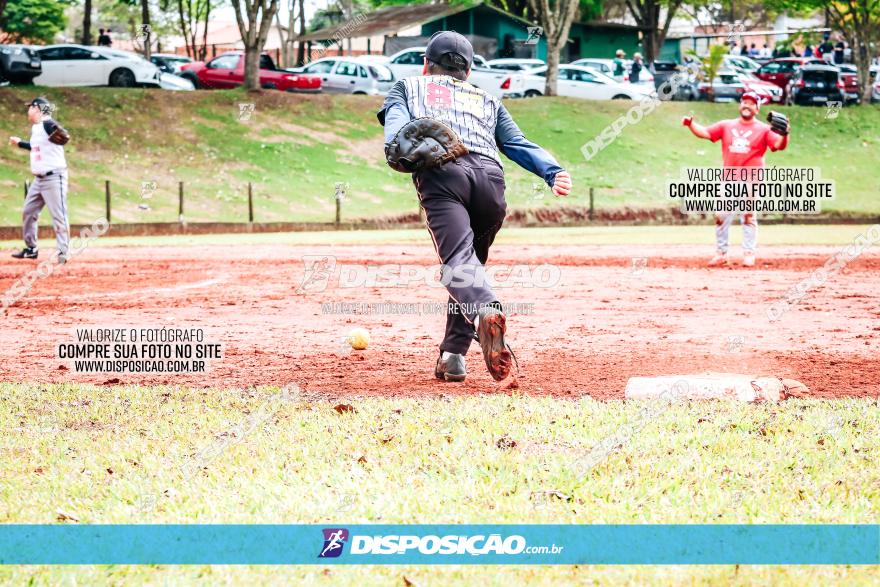 XXXII Brasileirão de Softbol