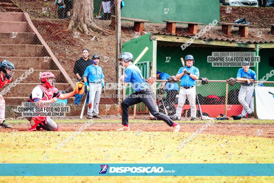 XXXII Brasileirão de Softbol