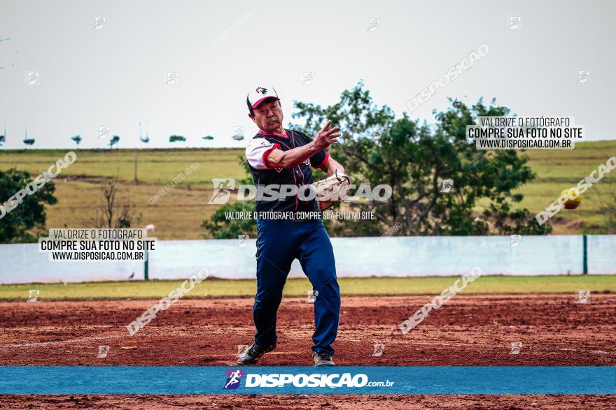 XXXII Brasileirão de Softbol