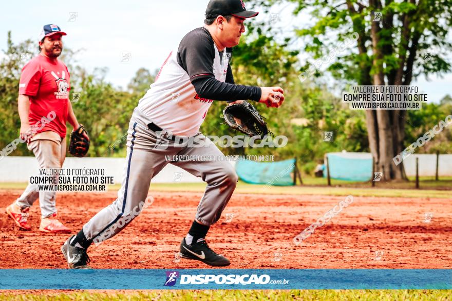 XXXII Brasileirão de Softbol